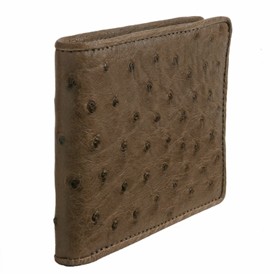 �������� �� ���� �������