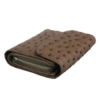 �������� � �������� ������� �� ���� �������