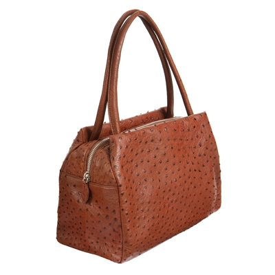 ����� �� ���� ������� � ������������ �����