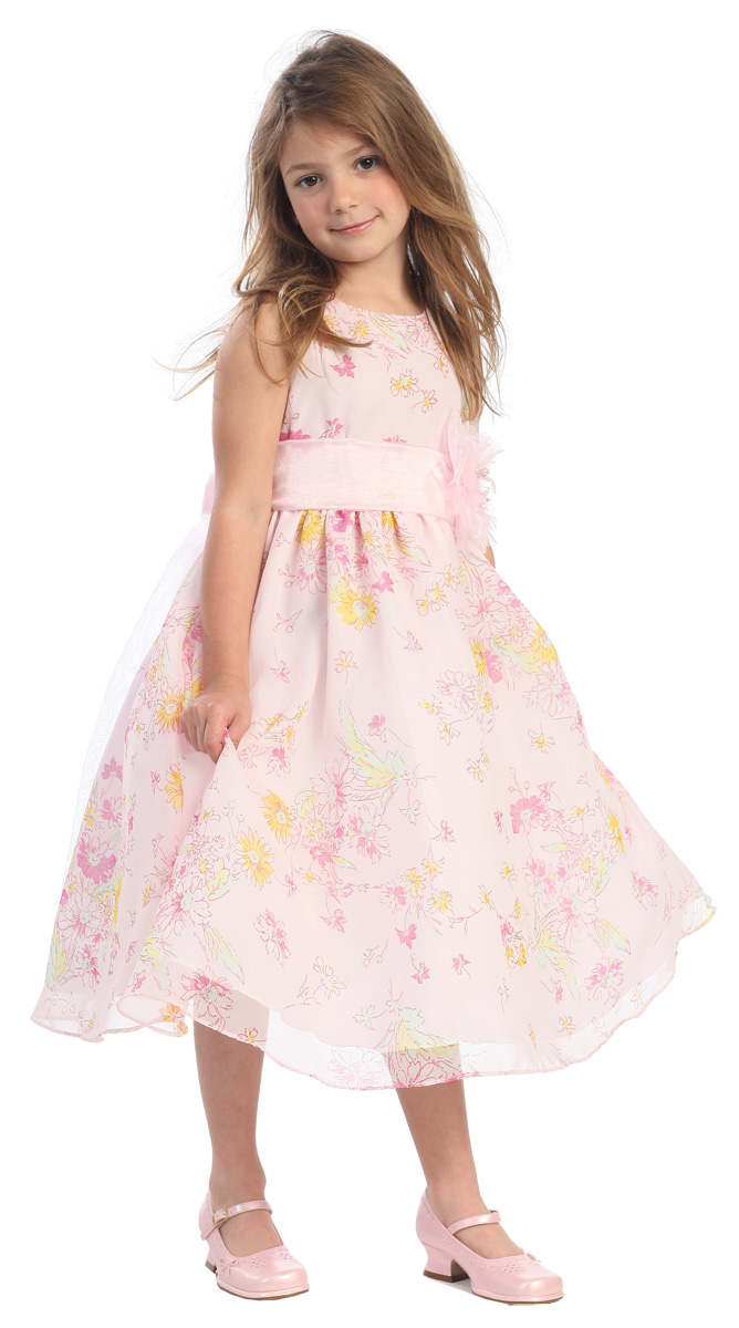 ������� ������ "����������"