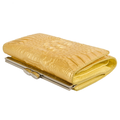 ������� ������� �� ���� ���������