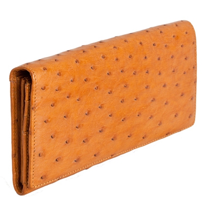 ���������� � �������� ������� �� ���� �������