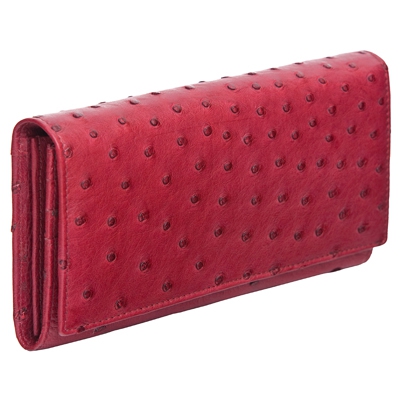 ������-�������� ������� �� ���� �������