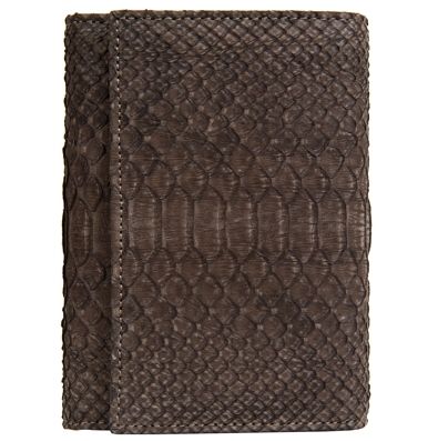 ������������ �����-��������� ������� �� ���� ������