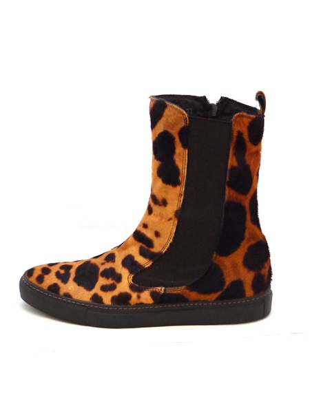 ����������� �����������