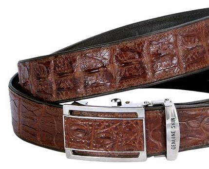 ������� ������ �������� ���� 120