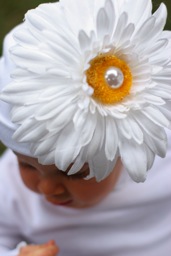 ������� ������ ����� � ������� ����� �������