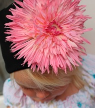 ������� �������  ����� � ������� ������-������� �������