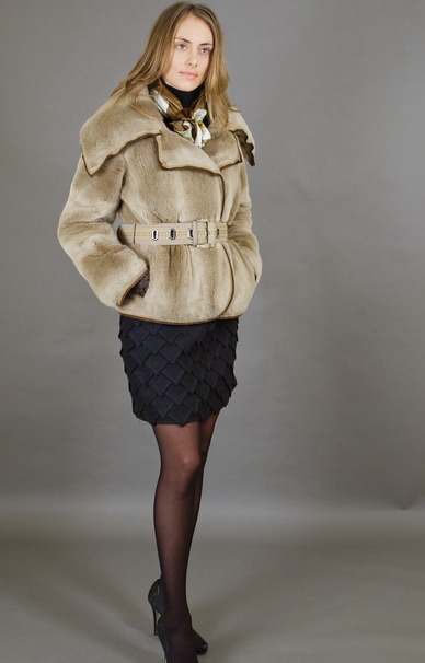 �������� �����-�������� ������ ���