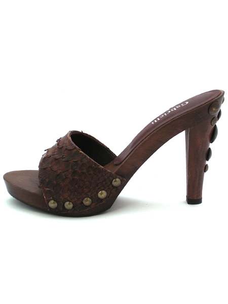 ���� �����-���������� �� ���������� �������