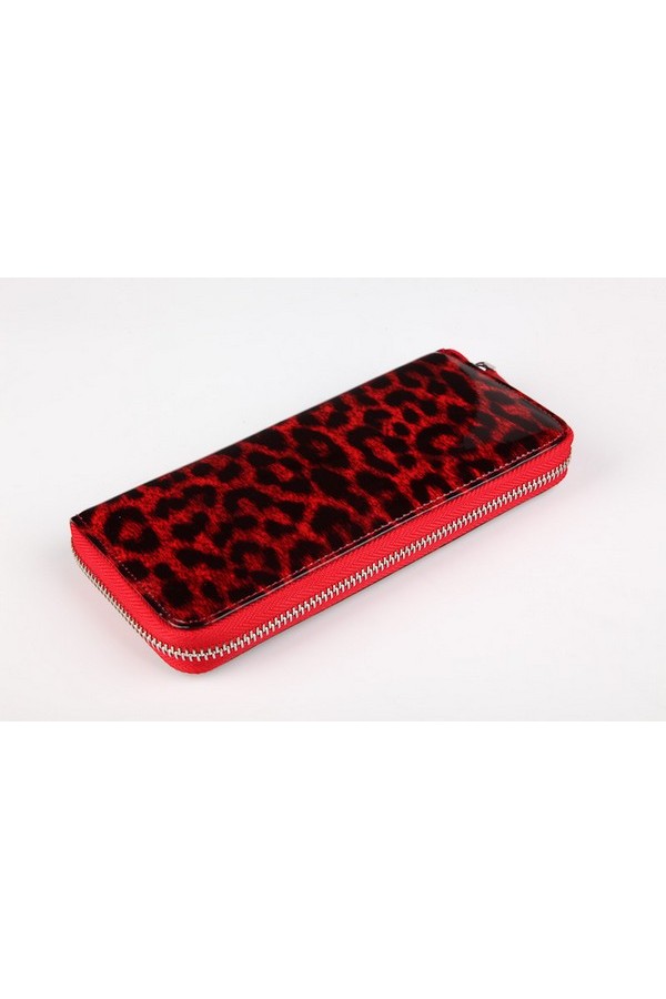 E2404-1, ����: �������