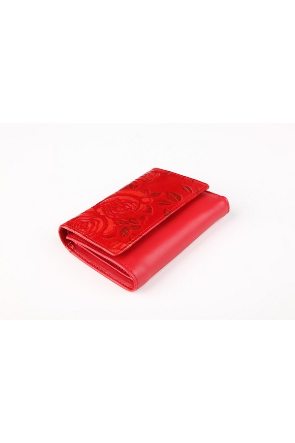 A2025-3-5, ����: �������