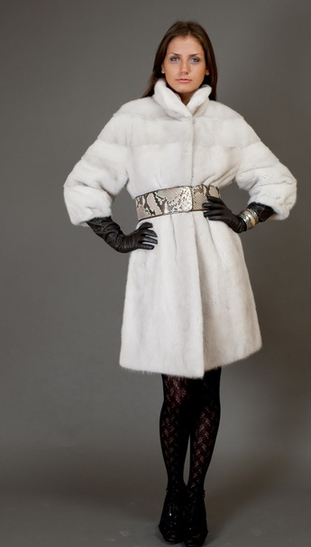 �������� ����  ���������