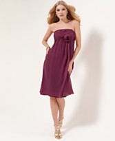 �������� ������ 2010 �������� 