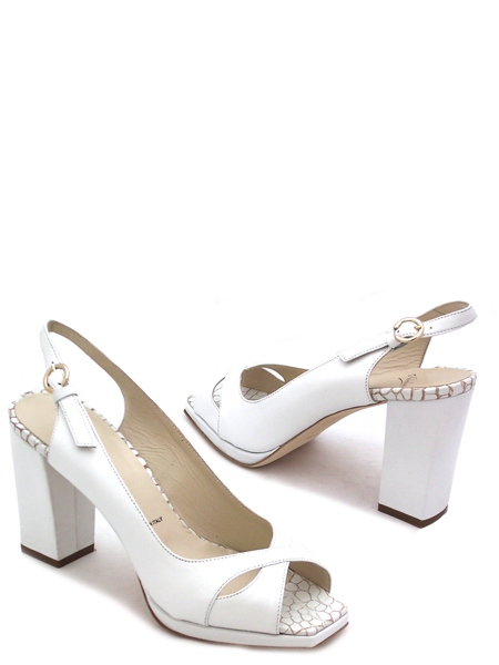 ��������� �������� � ����� �����