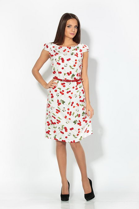 ����� ������ � ���������