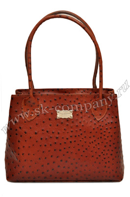 ����� �� ����������� ����