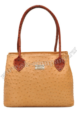 ����� �� ����������� ����