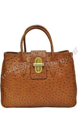 ����� �� ����������� ����