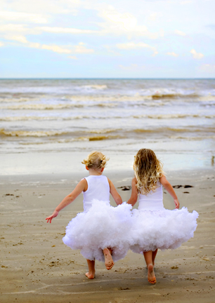 ������ ���� ������ �����