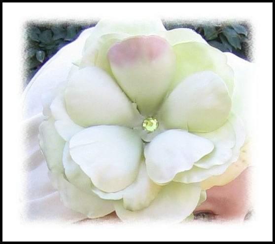 �������� ������� � ������� ������ �����