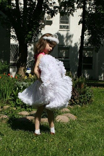 ������ ���� �������